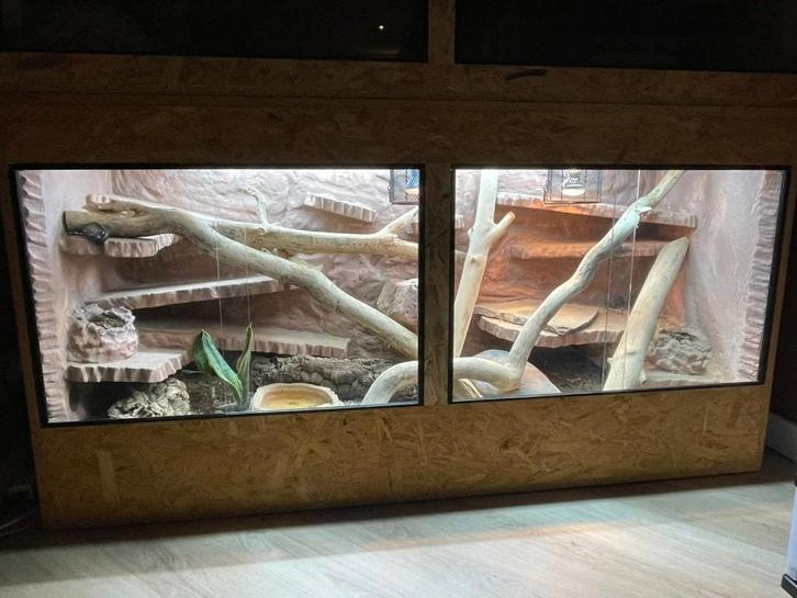 Compleet ingericht terrarium 160 breed, Dieren en Toebehoren, Reptielen en Amfibieën | Toebehoren, Zo goed als nieuw, Terrarium of Paludarium