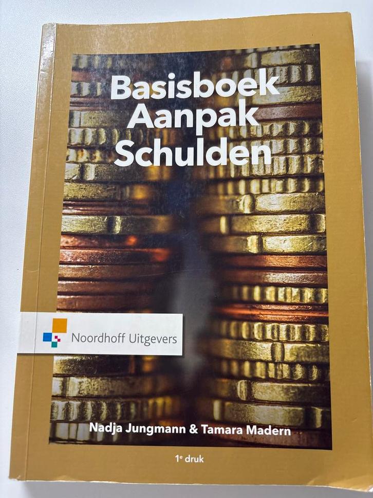 Basisboek Aanpak Schulden - Nadja Jungmann & Tamara Madern, Boeken, Studieboeken en Cursussen, Gelezen, HBO, Gamma, Ophalen of Verzenden