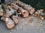 Brandhout, openhaardhout, stamhout, haardhout, Tuin en Terras, Haardhout, Minder dan 3 m³, Ophalen of Verzenden