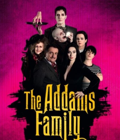 DVD The Addams Family Musical Nederland, Cd's en Dvd's, Dvd's | Muziek en Concerten, Zo goed als nieuw, Alle leeftijden, Verzenden