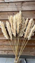 Lange mooie volle Pampas, Huis en Inrichting, Woonaccessoires | Droogbloemen, Ophalen of Verzenden, Zo goed als nieuw