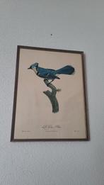 Le geai blue, Ophalen of Verzenden
