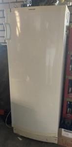 Diepvrieskast 155cm. Vriest nog prima, ook in garage/schuur, Gebruikt, 140 tot 160 cm, Ophalen, Vrieskast