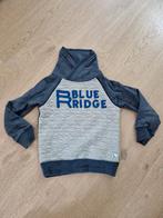 Trui maat 110/116, Kinderen en Baby's, Kinderkleding | Maat 110, Ophalen of Verzenden, Zo goed als nieuw, Jongen, Trui of Vest