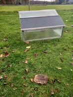 Spoetnik, Dieren en Toebehoren, Vogels | Duiven, Meerdere dieren, Postduif