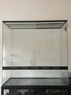 Wimpergekko terrarium + toebehoren, Dieren en Toebehoren, Reptielen en Amfibieën | Toebehoren, Ophalen, Gebruikt, Terrarium of Paludarium
