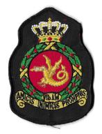 Badge Vliegbasis Leeuwarden, Ophalen of Verzenden, Zo goed als nieuw, Patch, Badge of Embleem