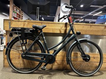 Cortina E-U1 Dames Groen 50cm beschikbaar voor biedingen