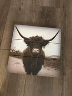 Schotse Hooglander op hout, Ophalen of Verzenden, Zo goed als nieuw