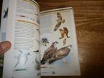 vogels van texel vogelgids 400+ vogelsoorten met afbeelding, Boeken, Ophalen of Verzenden, Nieuw, Overige onderwerpen