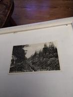 BEEKSE BERGEN. ZWANENSPRENG, Ophalen of Verzenden, Voor 1920, Noord-Holland