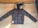 Bruine winterjas maat S, Maat 38/40 (M), Bruin, Ophalen of Verzenden, Zo goed als nieuw
