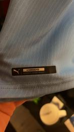 Manchester City Shirt Van Zinchenko Handtekening, Ophalen of Verzenden, Zo goed als nieuw, Maat 48/50 (M), Blauw