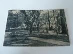 Bellingwolde circa 1920 Tuinaanzicht Hotel Reiderland, Ophalen of Verzenden, Voor 1920, Ongelopen