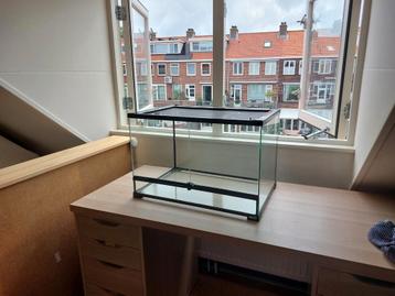 Terrarium beschikbaar voor biedingen