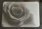 Placemats set van 6. Semi transparant met zwarte roos., Huis en Inrichting, Ophalen of Verzenden, Zo goed als nieuw