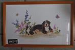 GEBORDUURD BERNER SENNE HOND * IN Lijst *, Verzenden, Nieuw