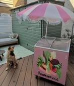 Home-made waterijsjes + vriezer ️, Ophalen, Zo goed als nieuw