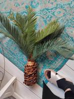 Kunstpalm - Sfeervolle Decoratie, Volledige schaduw, Palm, Ophalen of Verzenden, In pot