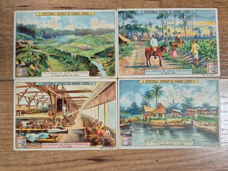 Liebig kaarten - Culture du Tabac a Sumatra S715 - 1902, Verzamelen, Ansichtkaarten | Themakaarten, Ongelopen, Voor 1920, Overige thema's