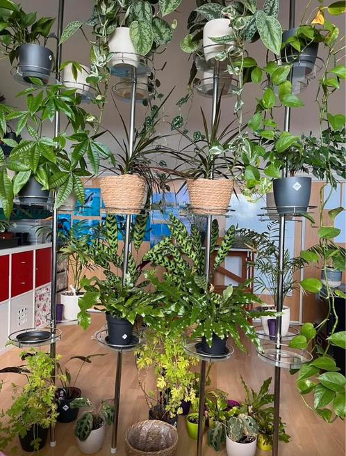 Plantenrek | bloemenrek | plantenstandaard, Huis en Inrichting, Kamerplanten, Overige soorten, Ophalen