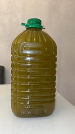 Marokkaanse olijfolie, Ophalen of Verzenden