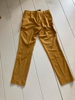 Mosterdgele Pantalon CVRD Maat 38 Nieuw, Kleding | Dames, Maat 38/40 (M), Geel, Nieuw, Ophalen of Verzenden