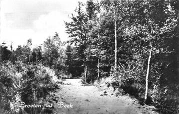 (387-198-027) Beek Groeten uit beschikbaar voor biedingen