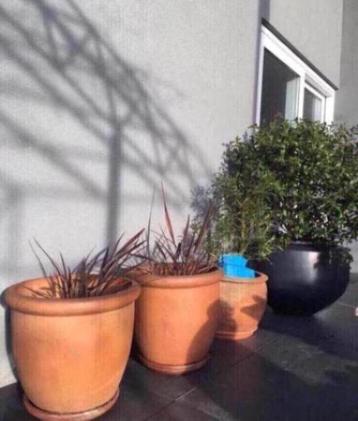 Grote terracotta stevige bloempotten plantenbakken 52cm beschikbaar voor biedingen