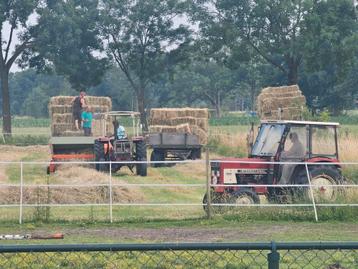Zeer mooi hooi 1e snede 2025  beschikbaar voor biedingen