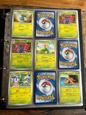 Pokémon Obsidian Flames Kaarten Verzameling beschikbaar voor biedingen