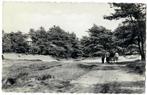 Zeegse, Verzamelen, Ansichtkaarten | Nederland, Verzenden, 1940 tot 1960, Gelopen, Drenthe