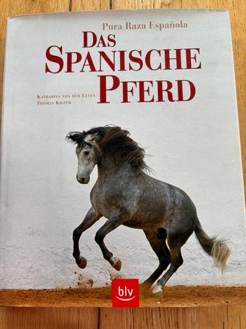 Das spanische pferd (Pura Raza Espanola) beschikbaar voor biedingen