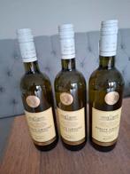 Pinot Grigio delle Venezie - Witte Wijn - 3 flessen, Verzamelen, Wijnen, Ophalen of Verzenden, Nieuw, Italië, Witte wijn
