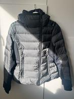 Goldbergh Dames Jas, Kleding | Dames, Maat 38/40 (M), Ophalen of Verzenden, Jack, Gedragen