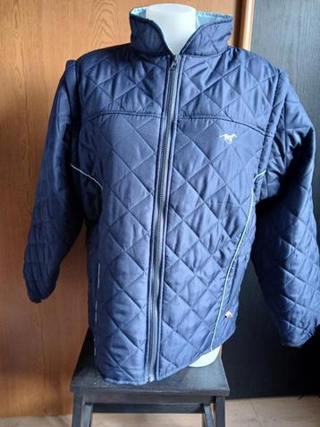 Blauwe Red Horse Gallop outdoorjas jas/bodywarmer maat XXL beschikbaar voor biedingen
