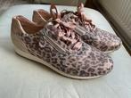 Sneakers tijgerprint Hassia 38,5   5,5, Ophalen of Verzenden, Nieuw, Overige typen, Overige merken