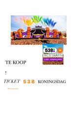 TICKET 538 Koningsdag, Eén persoon