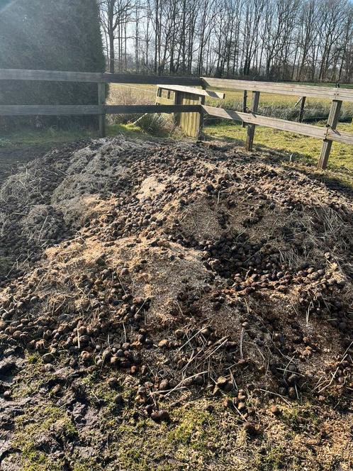 Paardenmest compost, Tuin en Terras, Aarde en Mest, Mest, Ophalen