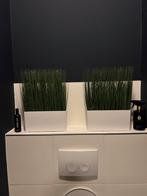 Kunstplanten Decoratie - 2 Sets, Ophalen, Nieuw