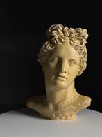 Hoofd Beeld Apollo, Ophalen