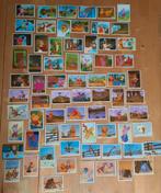 KNORRETJES GROTE FILM - 88 PANINI STICKERS, Ophalen of Verzenden, Zo goed als nieuw