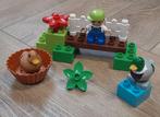 Lego Duplo Bos Eenden Set, Ophalen, Gebruikt, Complete set, Duplo