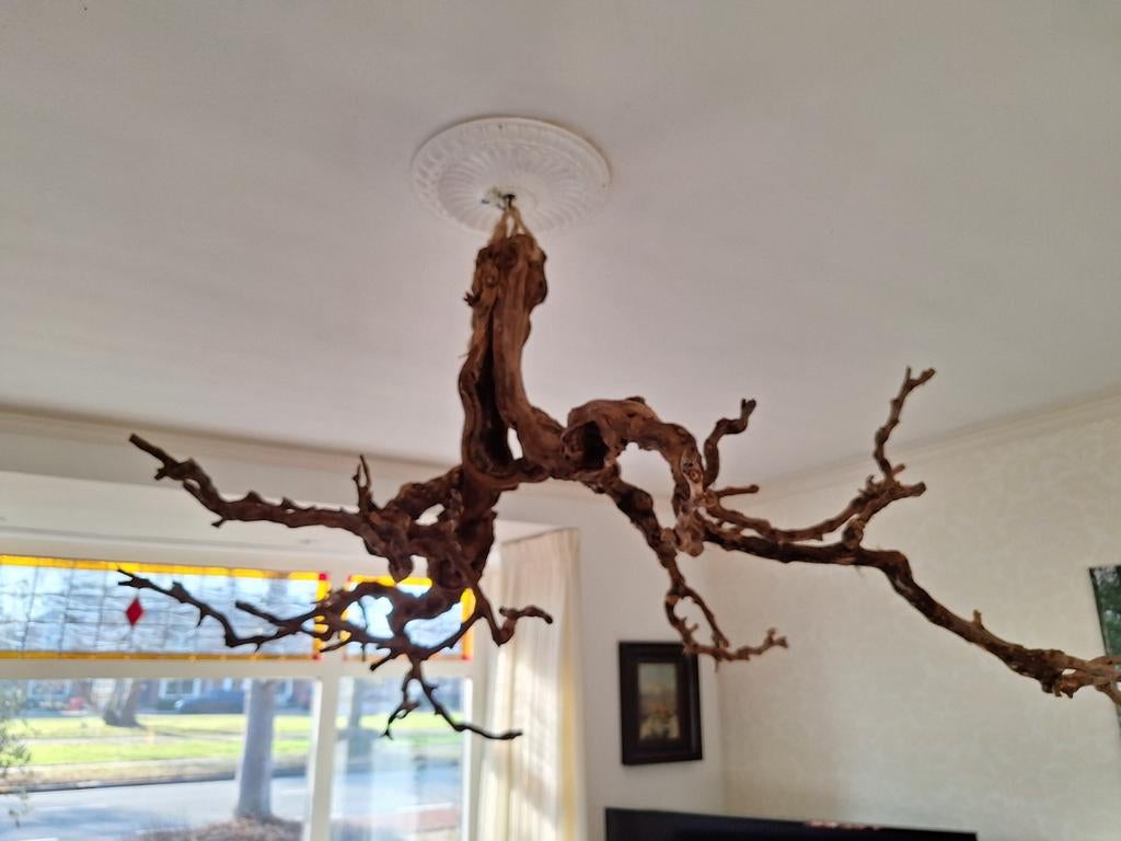 Decoratieve takken van een druivenboom, Ophalen, Gebruikt, Rustiek, 75 cm of meer