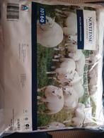 Novitesse Wollen Hoofdkussen - Nieuw!, Eenpersoons, Wit, Nieuw, Ophalen of Verzenden