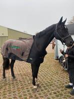 Zandona therapie deken maat L, Dieren en Toebehoren, Ophalen of Verzenden