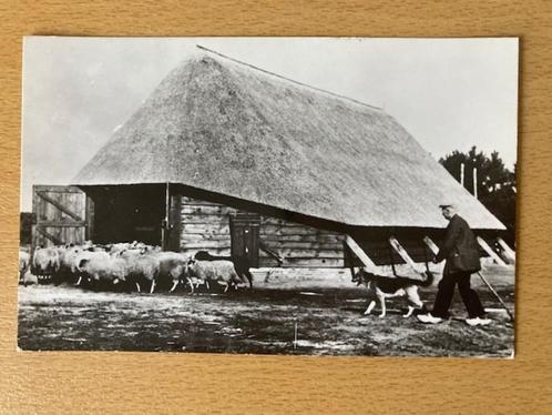 Heerde - Schaapskooi met herder, Verzamelen, Ansichtkaarten | Nederland, Ongelopen, Gelderland, Verzenden