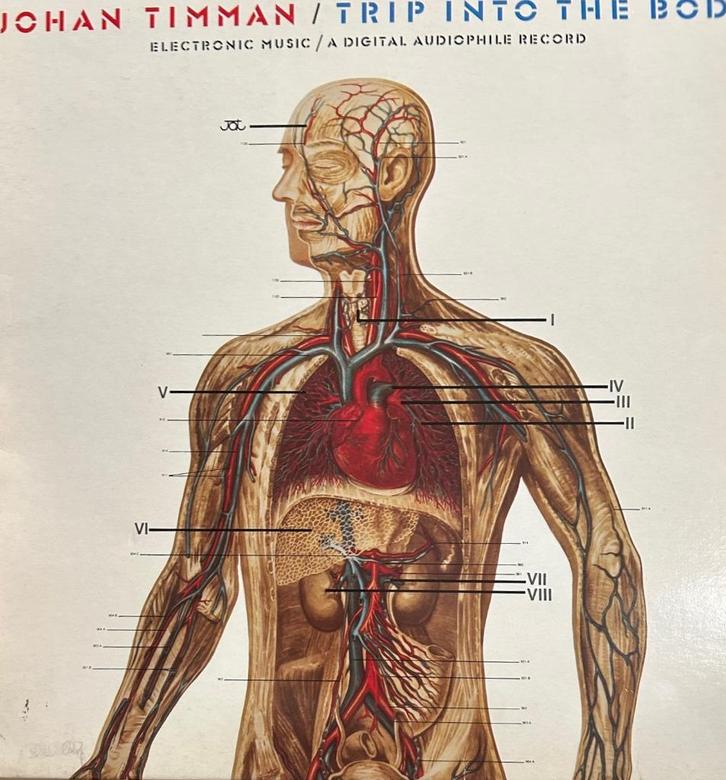 Johan Timman: Trip into the body (lp), Cd's en Dvd's, Vinyl | Overige Vinyl, Zo goed als nieuw, 12 inch, Ophalen of Verzenden