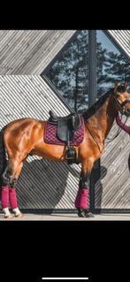 PS of Sweden set, dekje en bandages, Dieren en Toebehoren, Ophalen of Verzenden, Zo goed als nieuw