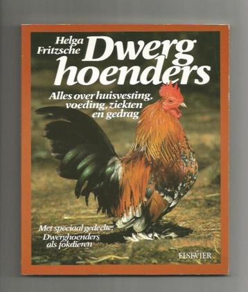 Dwerghoenders (krielkippen) - Helga Fritzsche beschikbaar voor biedingen